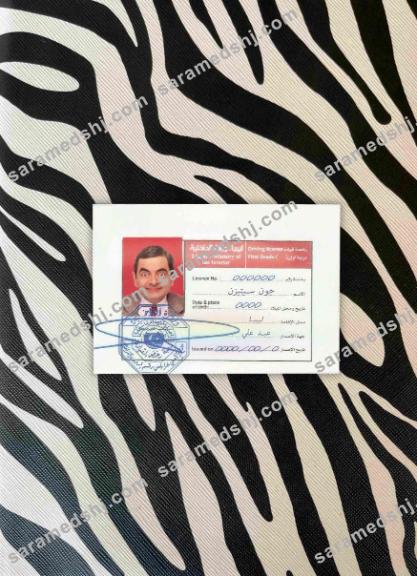 Libya DL photolook FRONT